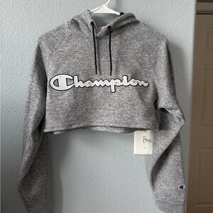 Champion Textured Gray Athleticwear